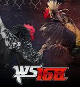 WS168